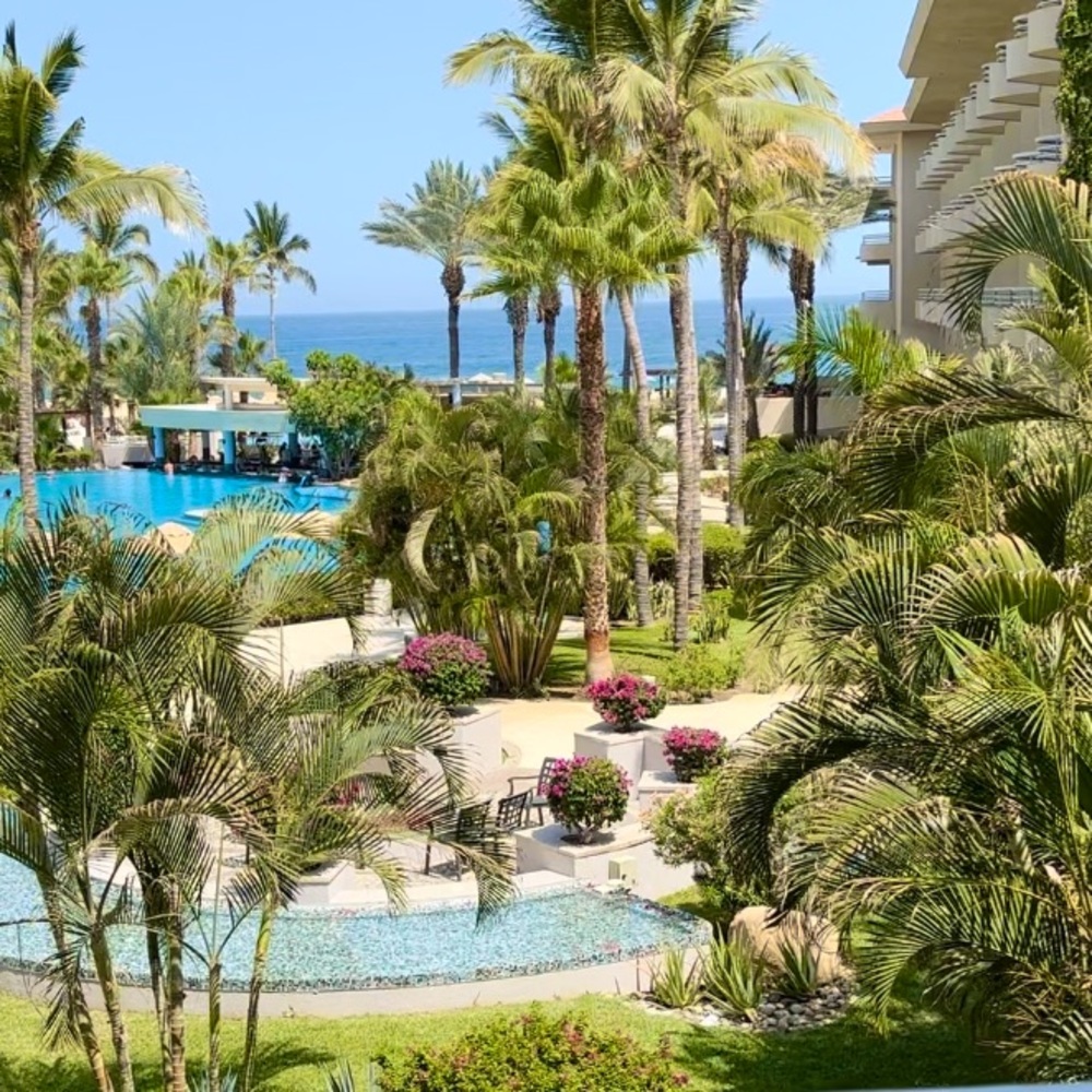 Meet your Posher, Sitina